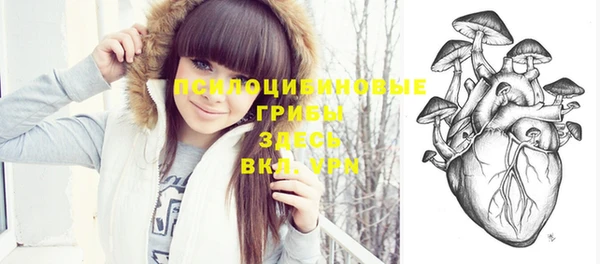 соль ск Алексеевка