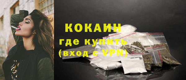твердый Абаза