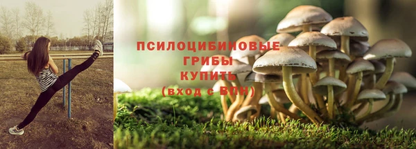 мяу мяу мука Абдулино
