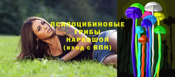 соль ск Алексеевка
